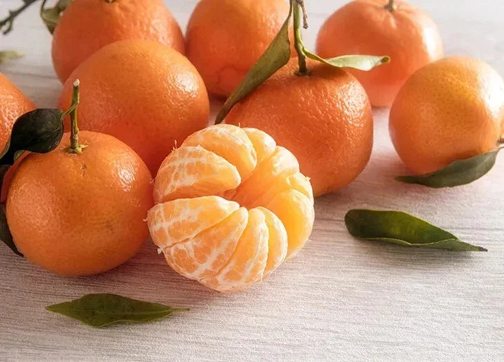 Clementine Orange Seeds 5+ Pack Citrus reticulata Fast Shipping USA
