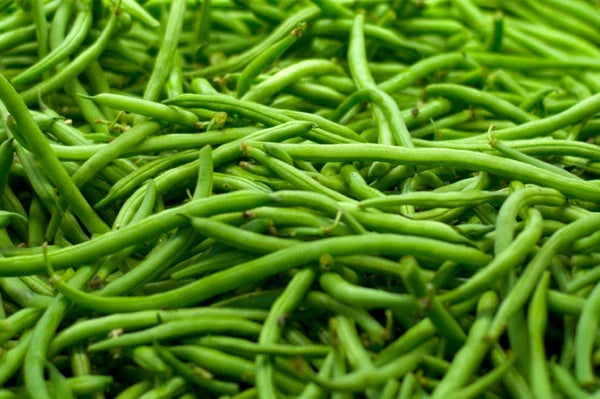 Strike Green Bean Seeds - Organic Non-GMO - Phaseolus vulgaris - Easy to Grow for Home Garden - High Germination Rate