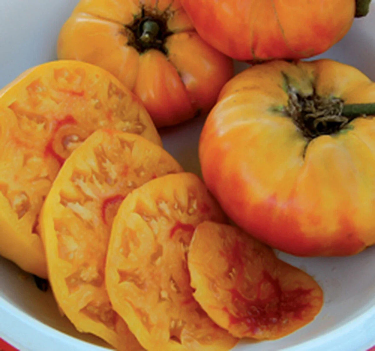 Gold Medal Tomato Seeds, 15 Non-GMO Heirloom Seeds, Large Golden-Yellow Fruits, Solanum lycopersicum