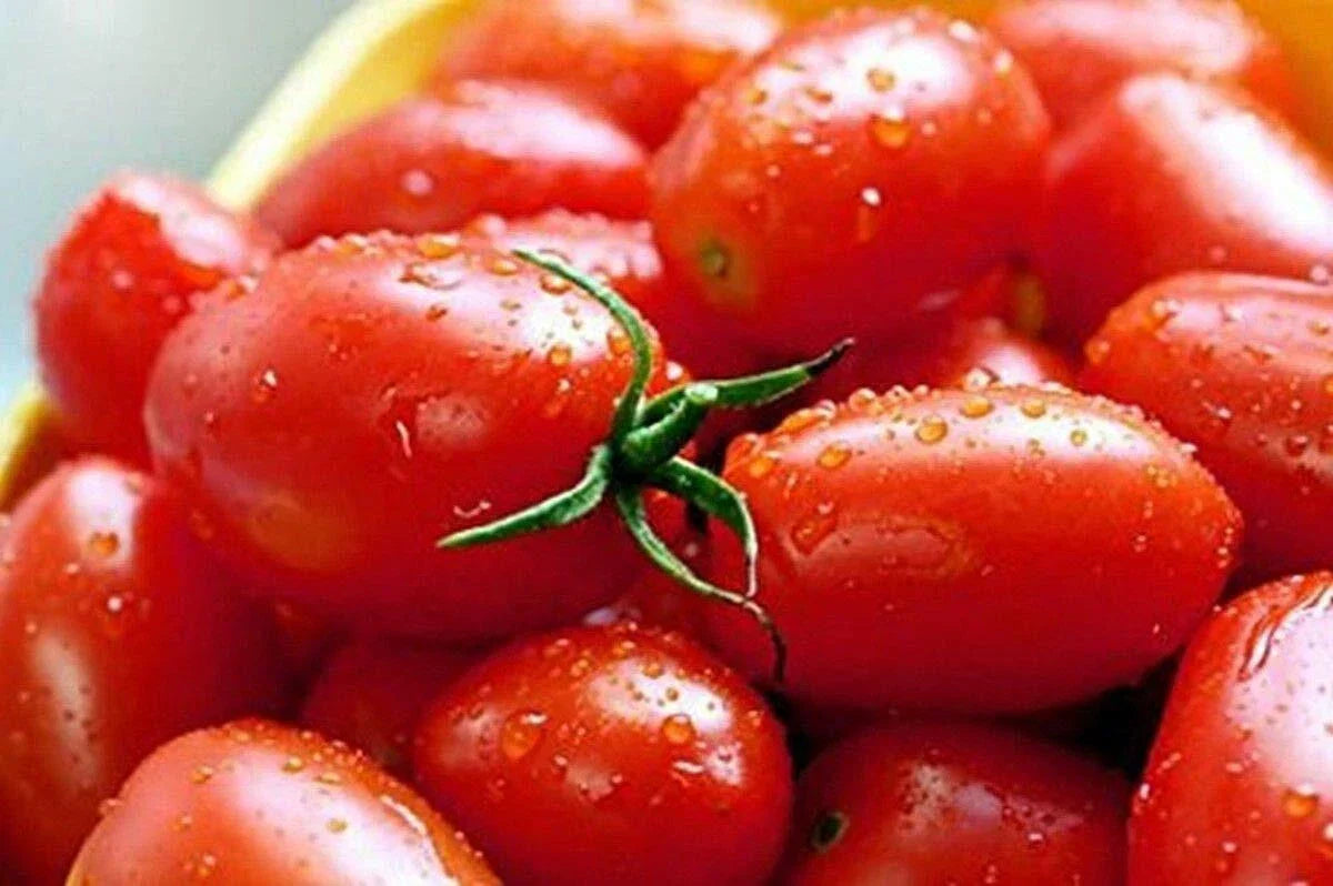 Crovarese Italian Grape Tomato Seeds - Non-GMO Heirloom, Solanum lycopersicum, Compact Vines for Small Gardens