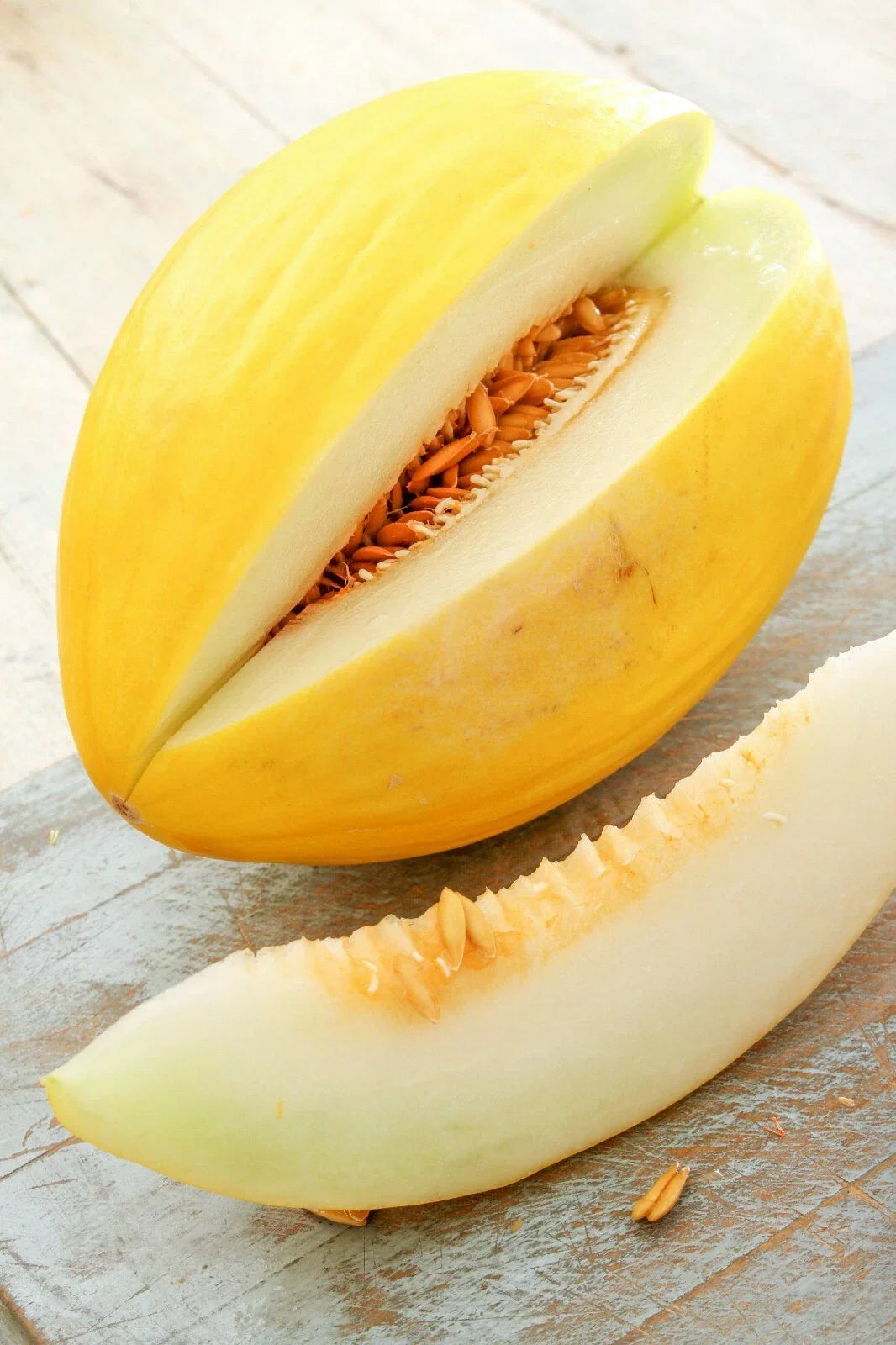 Crenshaw Sweet Melon Seeds - 40+ Heirloom Seeds - Cucumis melo - Sweet and Juicy Melon Variety for Home Garden