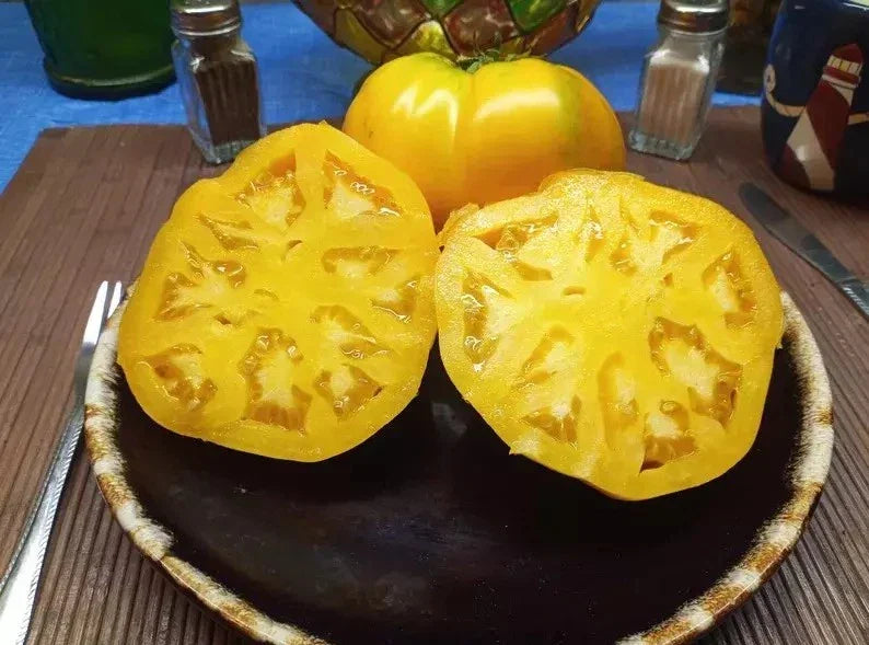 Golden Jubilee Tomato Seeds - 10+ Organic Heirloom Seeds - Solanum lycopersicum - Non-GMO Yellow Tomatoes for Home Garden