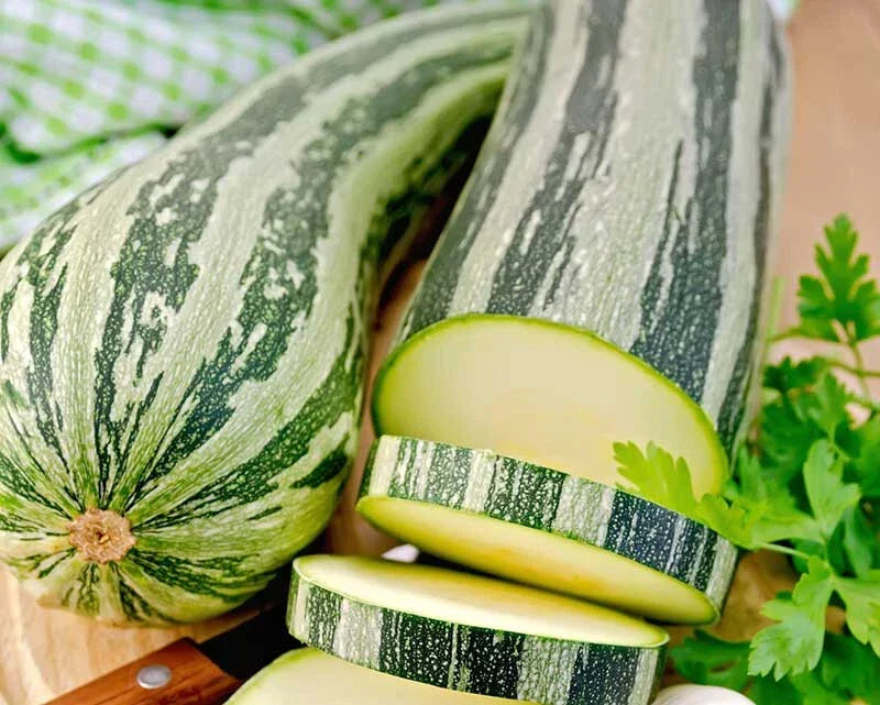 Cocozelle Squash Seeds - 25+ Heirloom Non-GMO Seeds - Cucurbita pepo - Perfect for Home Garden Planting