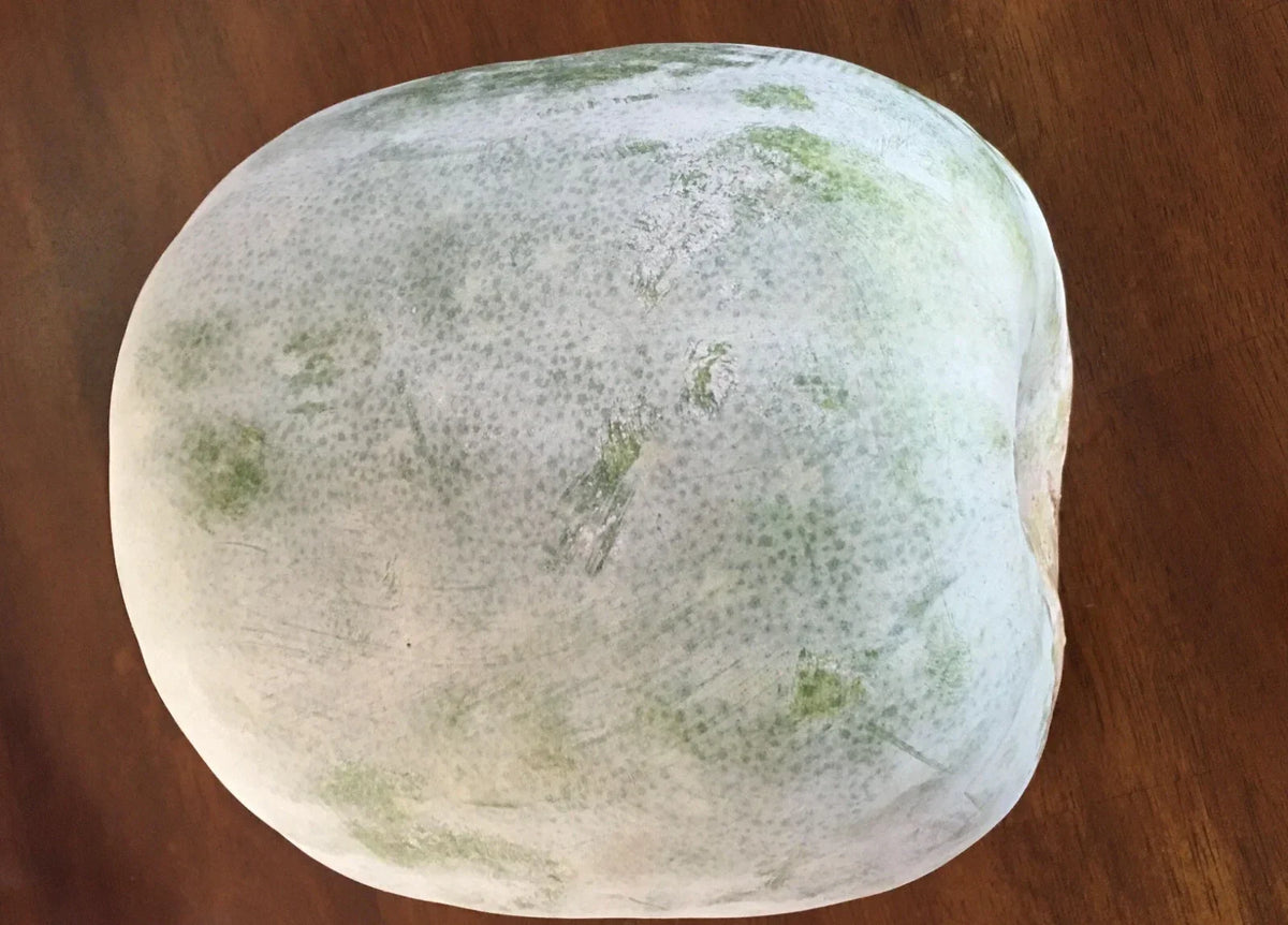 Wax Gourd Seeds - 20+ Heirloom White Ash Gourd (Dong Gua) - Benincasa hispida - Non-GMO Vegetable Seeds for USA Gardens