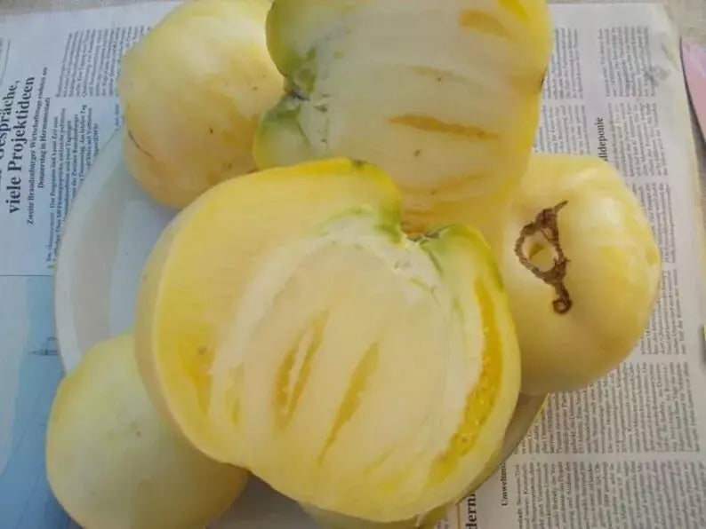 Great White Tomato Seeds - 120+ Organic Heirloom Beefsteak - Solanum lycopersicum - Non-GMO, Rare Variety for Home Gardening