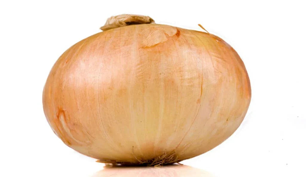 Vidalia Onion Seeds 500+ Count, Non-GMO Allium cepa, USA Grown for Garden Planting, Sweet Flavor, Ideal for Home Gardens