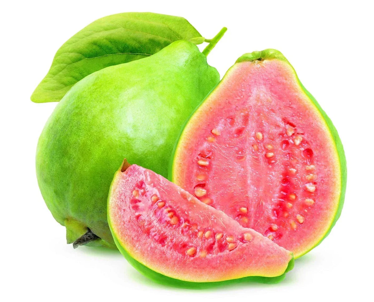 Guava Fruit Tree Seeds - Tropical Exotic Fruit - Psidium guajava - Ideal for Home Gardens and Planting