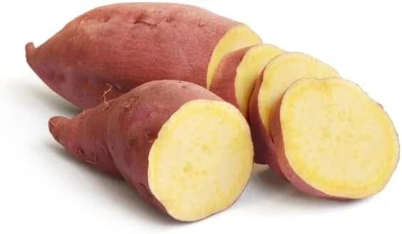 Yams Slips for Planting - 6-8 Inch Yellow Murasaki Sweet Potato Slips - Organic Heirloom, Ipomoea batatas