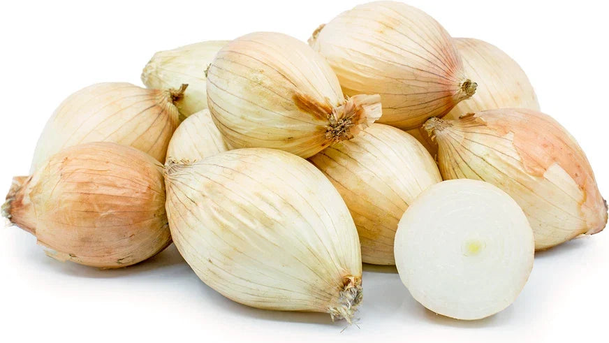 Maui Onion Seeds - 500+ Count Non-GMO Garden Seeds for Planting - Allium cepa - Sweet Flavor for Home Gardening