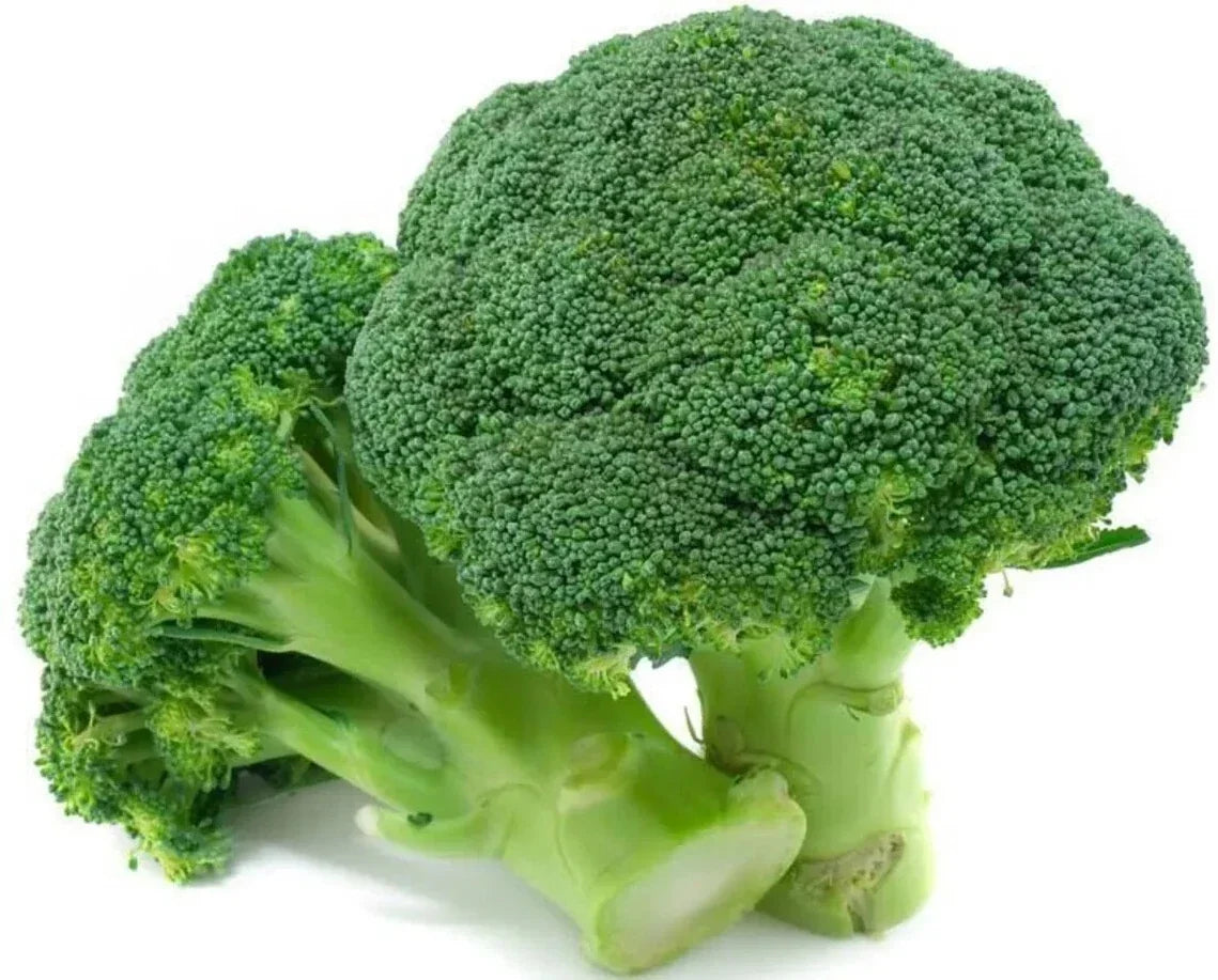 Broccoli Seeds 1000+ Heirloom Organic Non-GMO Waltham 29 Brassica oleracea for Gardening Fresh Vegetable Seeds