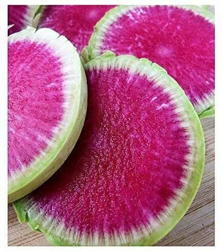 Watermelon Radish Seeds - 250+ Rare Exotic Vegetable Seeds - Raphanus sativus - Unique Flavor for Home Gardening