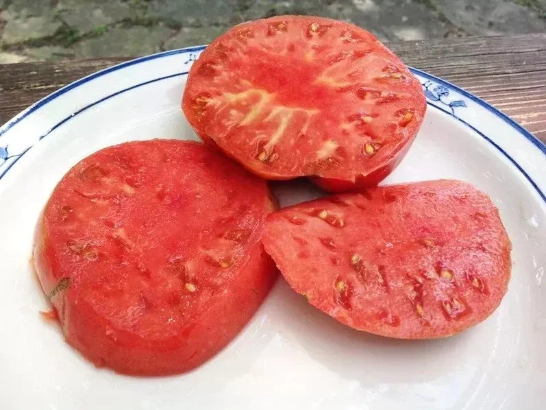 German Johnson Tomato Seeds - Heirloom Variety - 30+ Large Seeds - Solanum lycopersicum - Ideal for Home Gardening