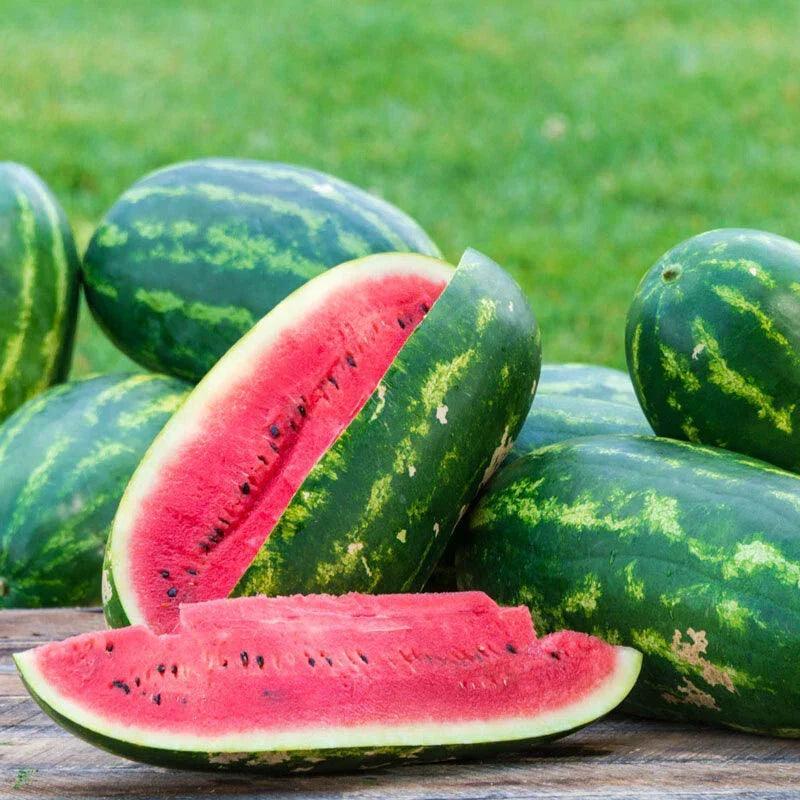 Sangria Watermelon Seeds - 25 Pack - Citrullus lanatus - Non-GMO, High Germination, Ideal for Home Gardens