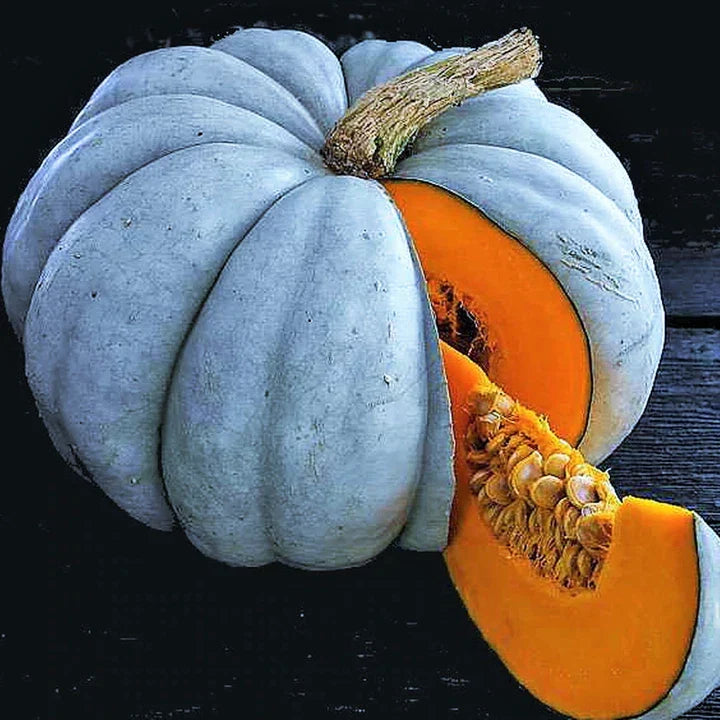 Jarrahdale Blue Pumpkin Seeds - 10+ Heirloom Seeds - Cucurbita maxima - Non-GMO Winter Squash for Baking & Decoration