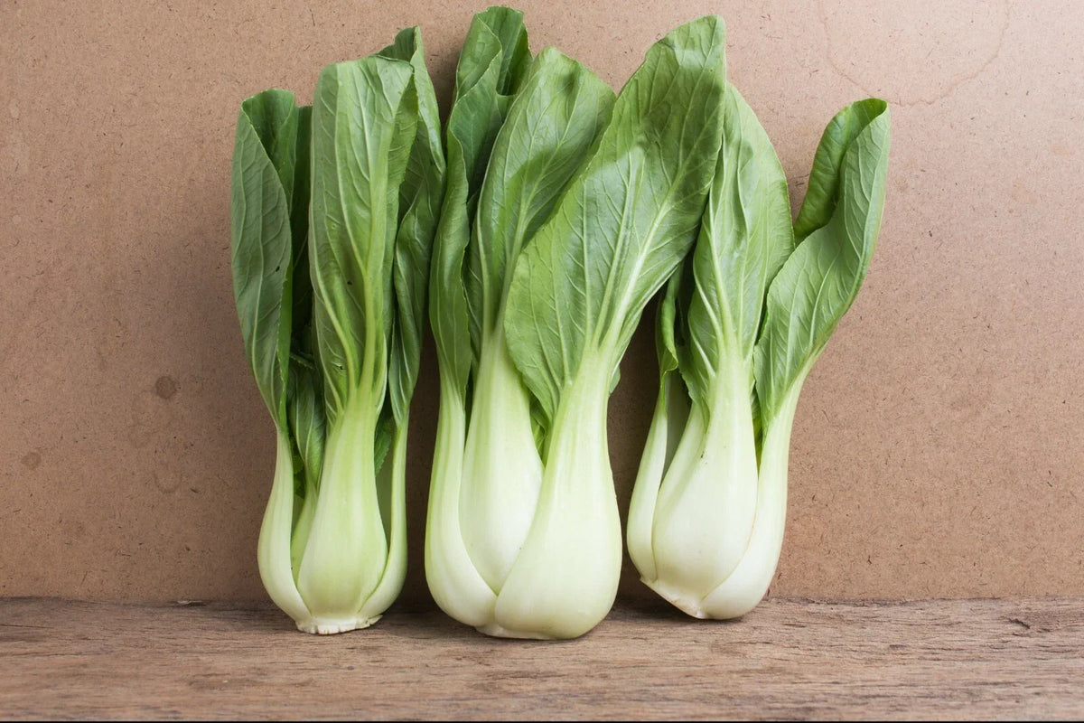 Bok Choy Seeds - 4000+ Non-GMO Chinese White Stem Pak Choi - Brassica rapa subsp. chinensis for Home Gardening