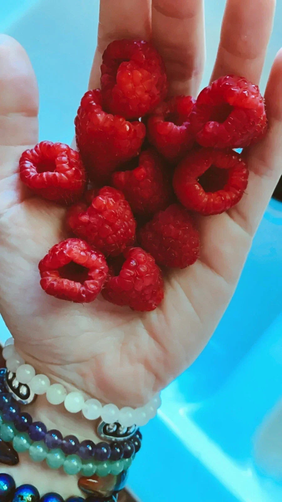 Red Raspberry Seeds - 100 Count - Rubus idaeus - Edible Berry Garden Vine for Homegrown Medicinal Fruit