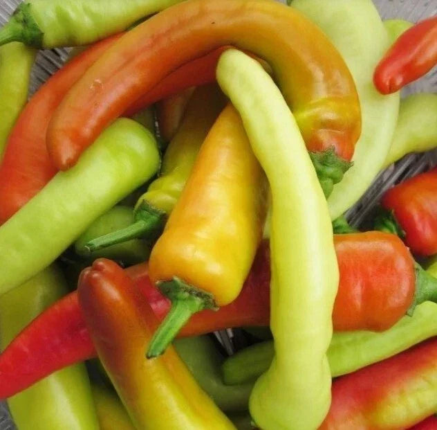Hungarian Wax Hot Pepper Seeds - 400 Non-GMO Heirloom Capsicum annuum - Spicy Yellow Banana Peppers for Garden & Containers