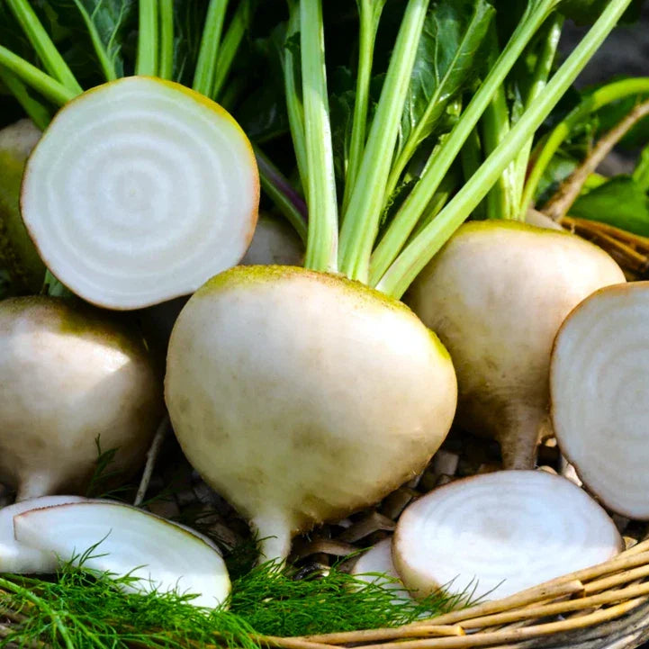 White Albino Beet Seeds - Mangel Turnip Variety - Beta vulgaris - 2025 Planting, Non-GMO, Sweet Flavor, Easy to Grow