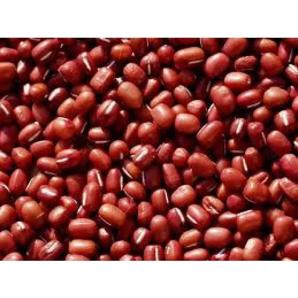 Small Red Soup Beans Seeds - 1 lb - High-Quality Legumes for Planting - Phaseolus vulgaris - Ideal for Home Gardening