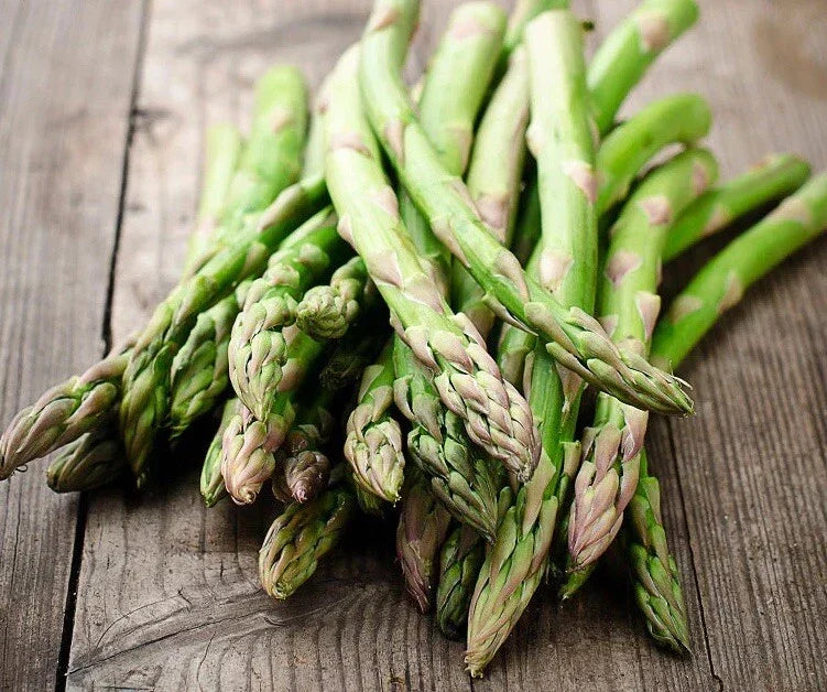 Asparagus Seeds 100+ Heirloom Mary Washington Non-GMO Asparagus officinalis - Garden Vegetable Seeds for Home Growing
