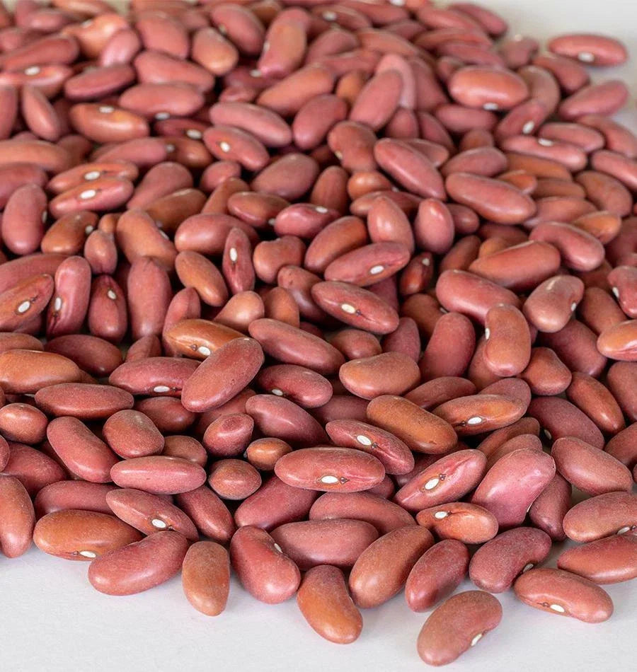 Light Red Kidney Bean Seeds - Organic, Non-GMO, Phaseolus vulgaris - High Germination for Home Garden and Culinary Use