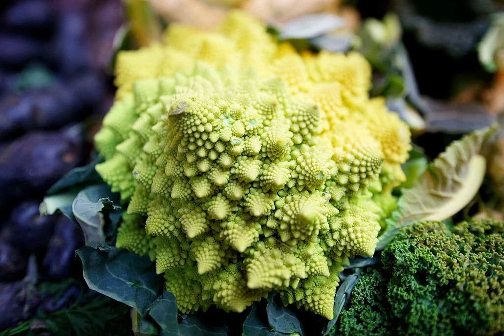 Romanesco Broccoli Seeds - 1000 Non-GMO Heirloom Seeds | Brassica Oleracea | Unique Flavor for Home Gardening
