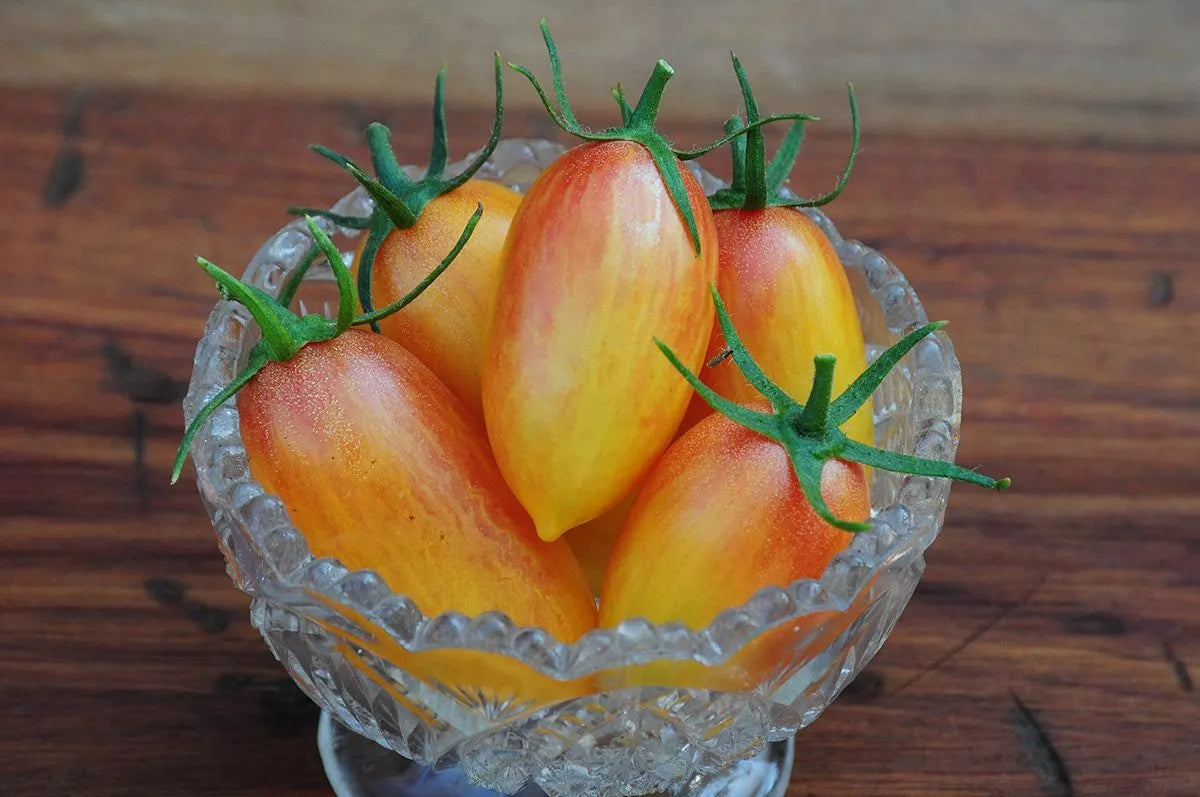 Blush Tomato Seeds, 15 Non-GMO Seeds, Julienne Cherry Saladette, Solanum lycopersicum, Ideal for Container Gardening