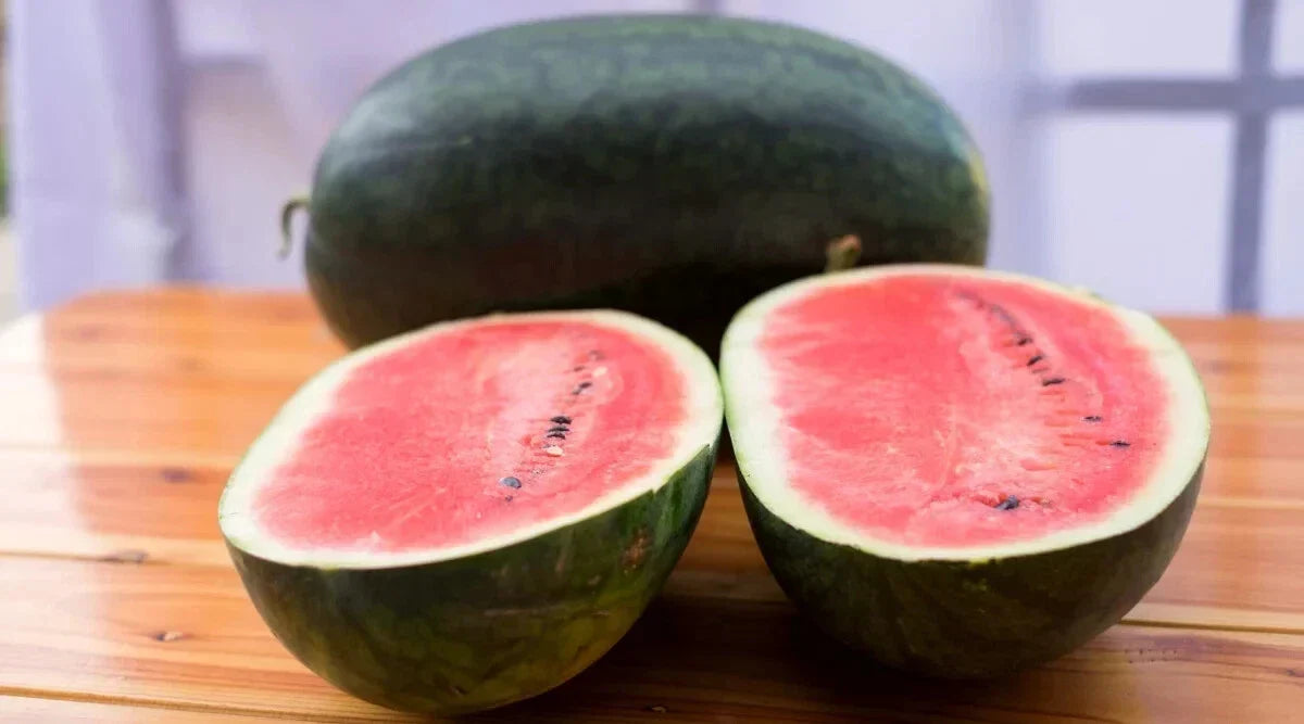 Black Diamond Watermelon Seeds - 50+ Pack - Heirloom Citrullus lanatus - Non-GMO, Easy to Grow for Home Gardens