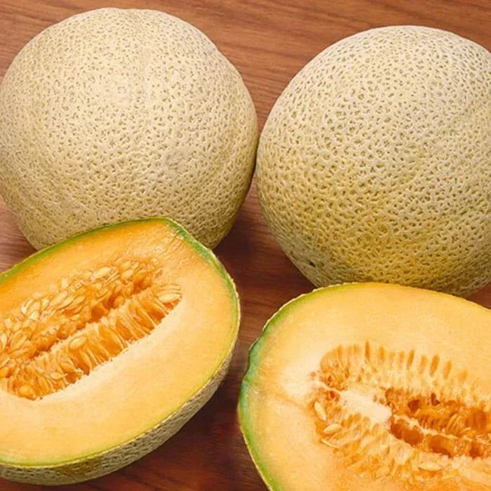 Organic Cantaloupe Seeds - 100 Jambo Variety - Cucumis melo - USA Grown, Non-GMO, Sweet Flavor, Free Shipping