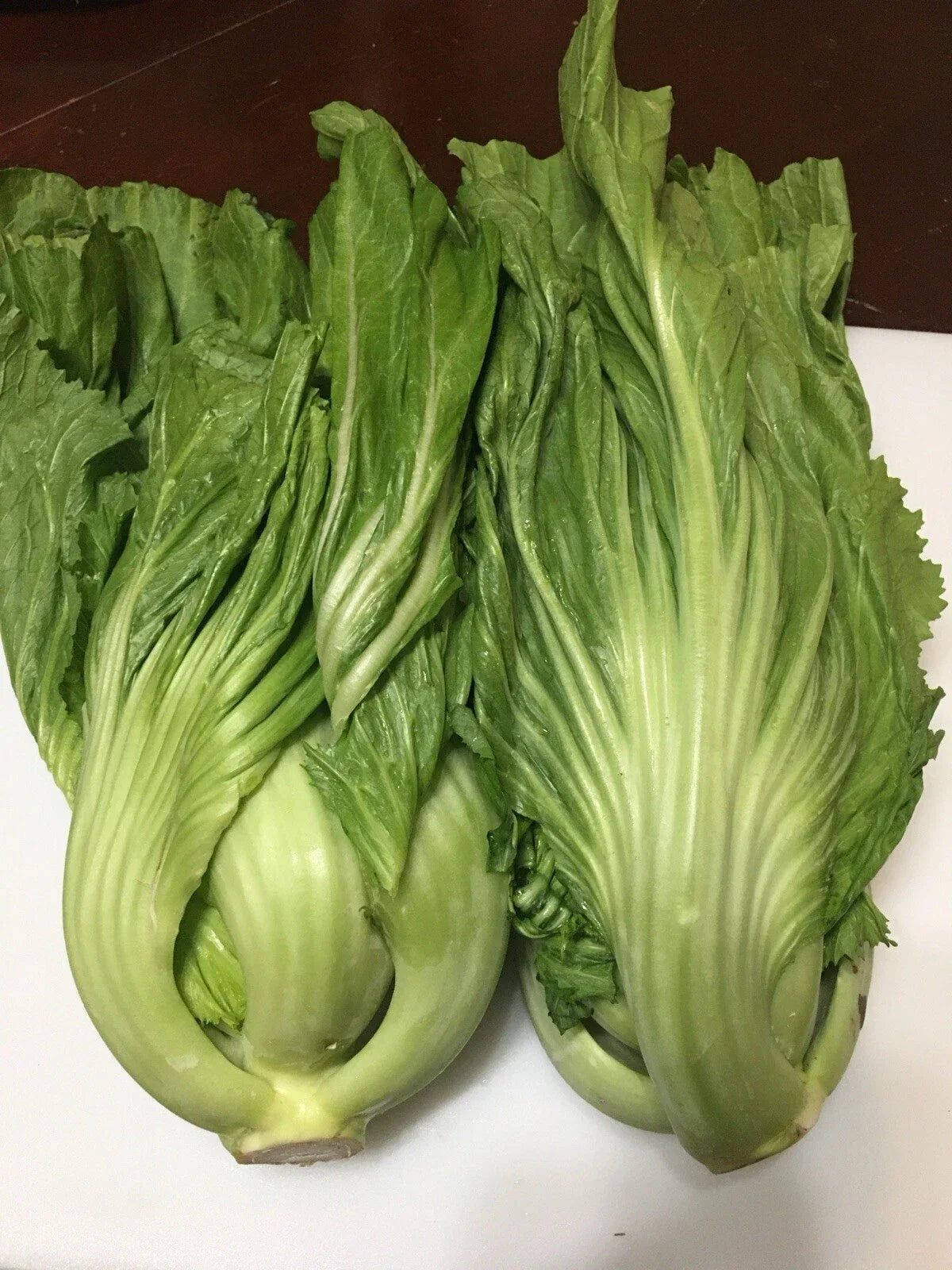 Chinese Mustard Seeds - 200+ Seeds - Shuidong Gai Choi - Brassica juncea - Non-GMO, Fast-Growing Culinary Greens