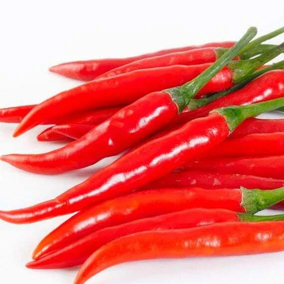 Cayenne Pepper Seeds - 20 Pack - Capsicum annuum - Hot Flavorful Peppers for Home Gardening