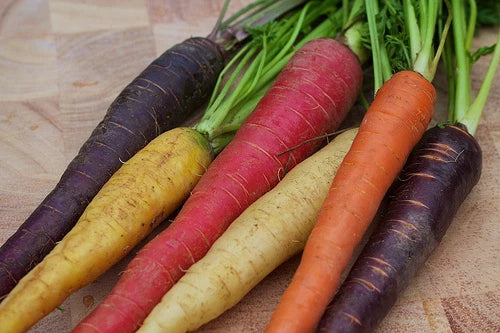 Rainbow Blend Carrot Seeds - 200 Seeds - Antioxidant Rich - Daucus carota - Non-GMO, Colorful Varieties for Healthy Gardening
