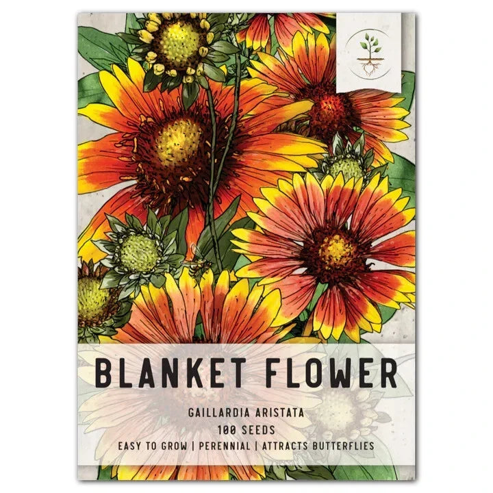 Blanket Flower Seeds - 100 Seeds Packet - Gaillardia aristata - Vibrant Perennial Flower Seeds for Garden Planting