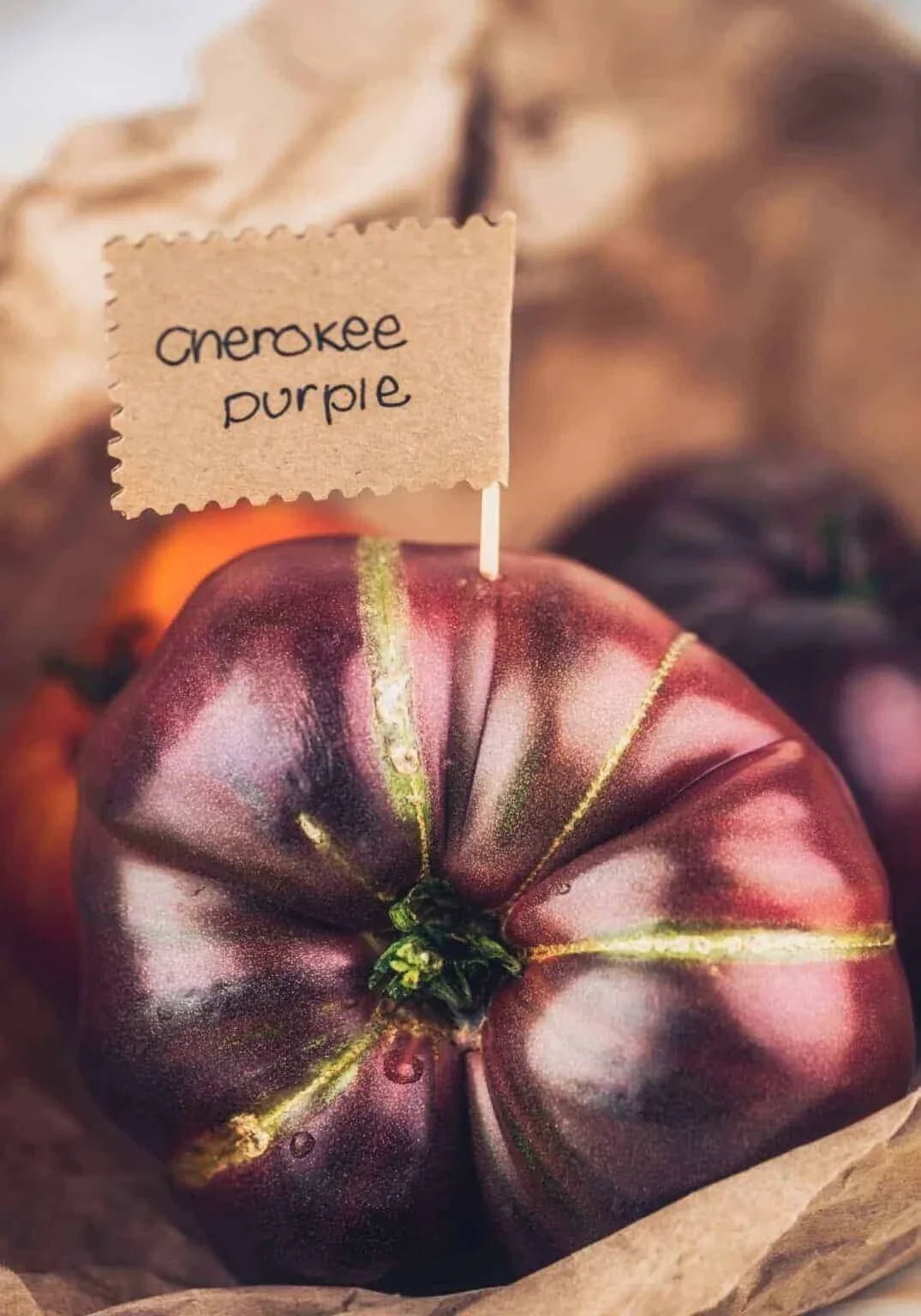 Cherokee Purple Tomato Seeds - 10+ Heirloom Non-GMO Organic - Solanum lycopersicum - Great for Salads & Sauces