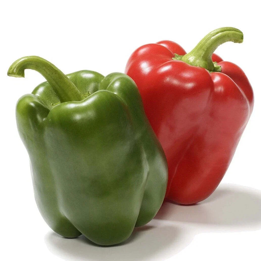 California Wonder Bell Pepper Seeds - 300 Heirloom Non-GMO Seeds - Capsicum annuum - Sweet Flavor for Home Gardening
