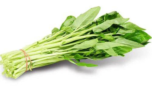 50 White Stem Water Spinach Seeds, Ong Choy, Kong Xin Cai, Ipomoea aquatica, Heavy Producer for Home Gardens