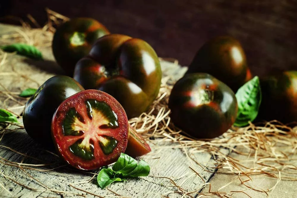 Black Pearl Cherry Tomato Seeds - 100 Count - Sweet Flavor, Dark Purple-Black Color - Solanum lycopersicum