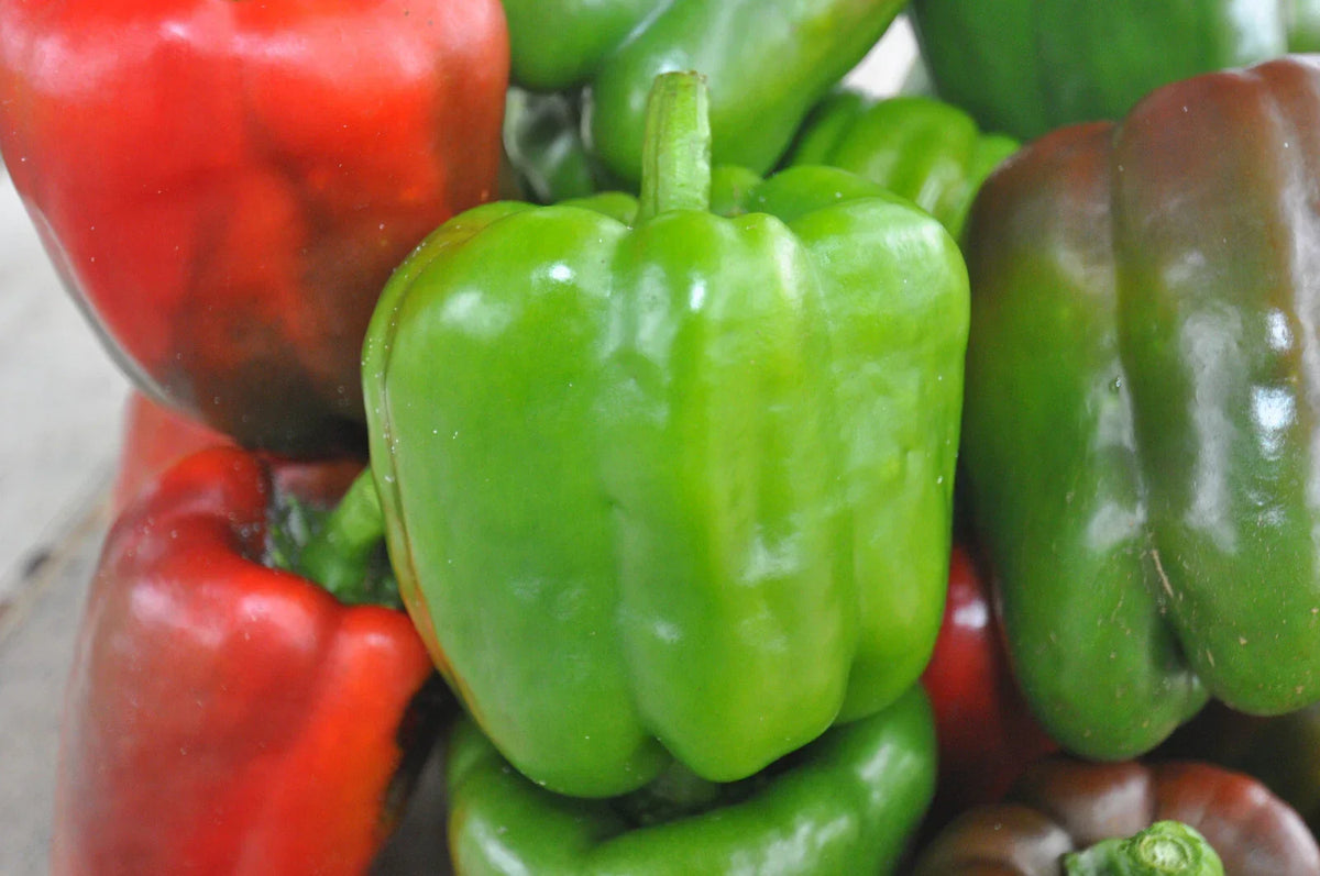 California Wonder Bell Pepper Seeds - 100 Count - Non-GMO Heirloom - Capsicum annuum - Sweet Garden Vegetable Seeds