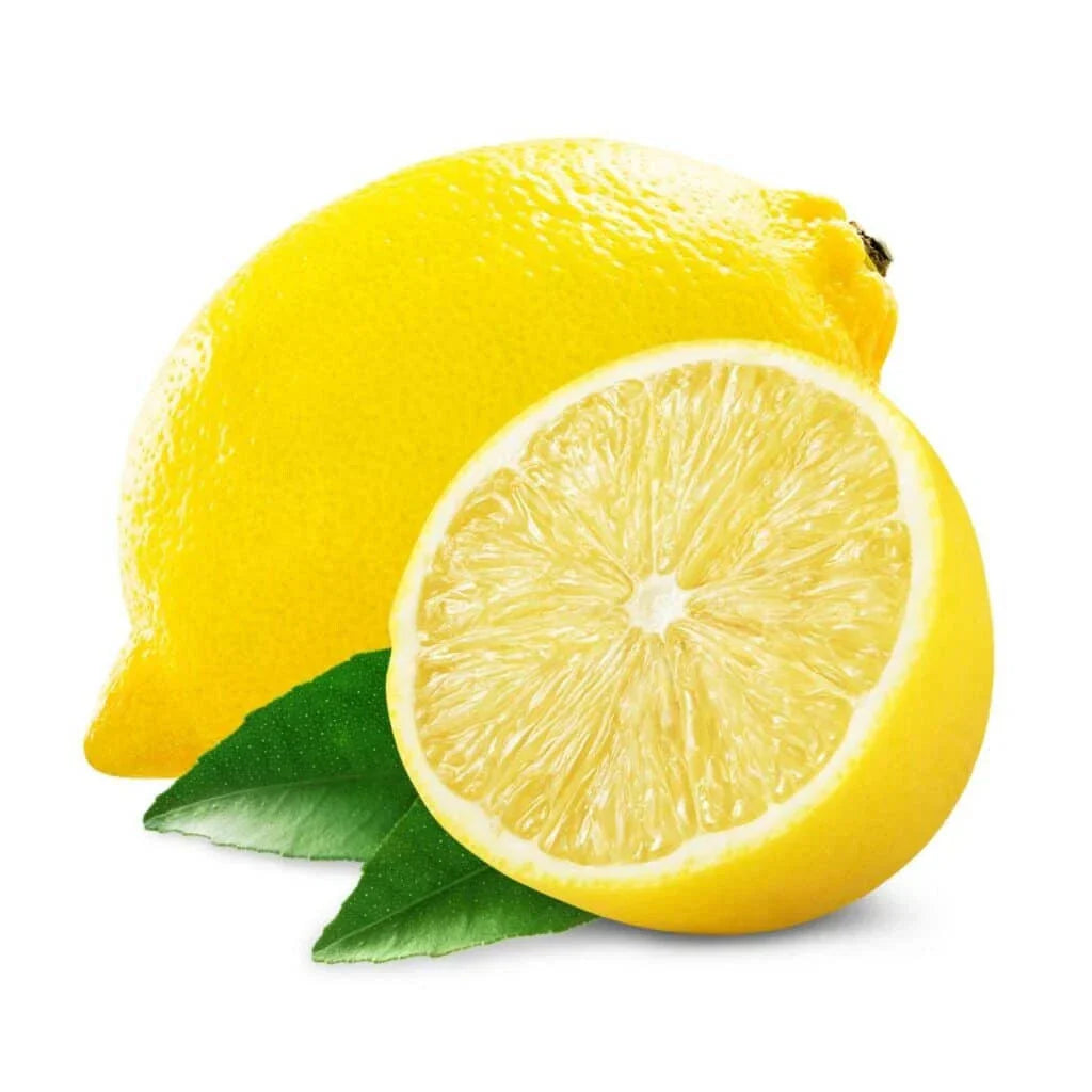 Santa Teresa Lemon Seeds - 5 Pack - Citrus limon - USA Grown - Non-GMO - Ideal for Home Gardening and Container Planting