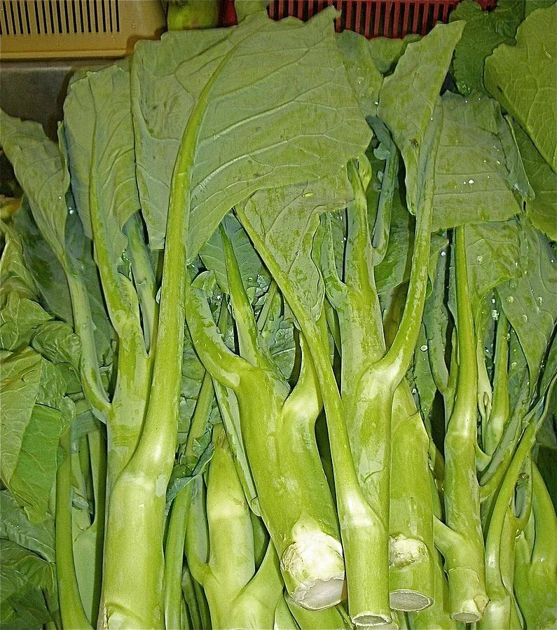 Heirloom KAILAAN Seeds 125 Count - Chinese Broccoli Kale Gai Lan - Brassica oleracea var. alboglabra - Non-GMO Gardening Seeds