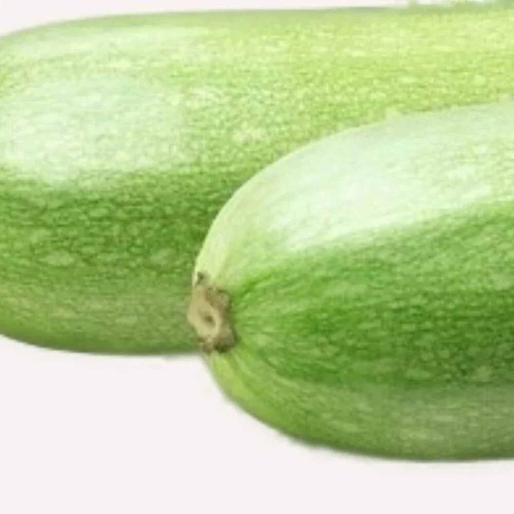 Italian Squash Zucchini Seeds | Non-GMO Heirloom | Cucurbita pepo | Fresh Garden Seeds