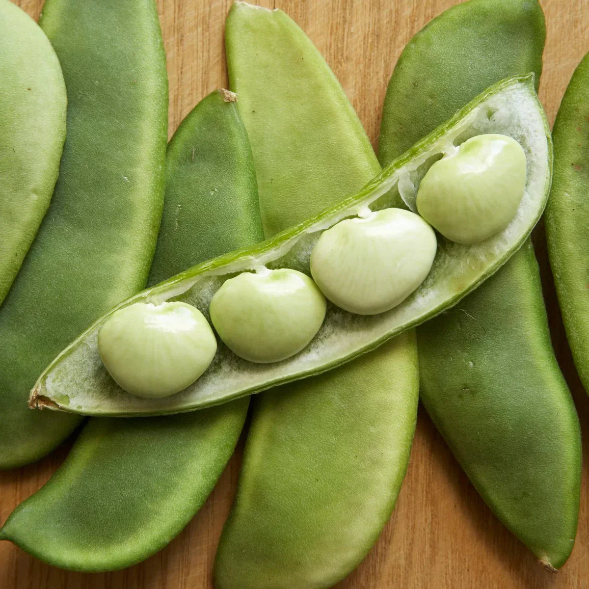 Fordhook 242 Lima Bean Seeds - Drought Resistant, AAS Winner, Phaseolus lunatus, Ideal for 2025 Planting, 50 Seeds per Packet