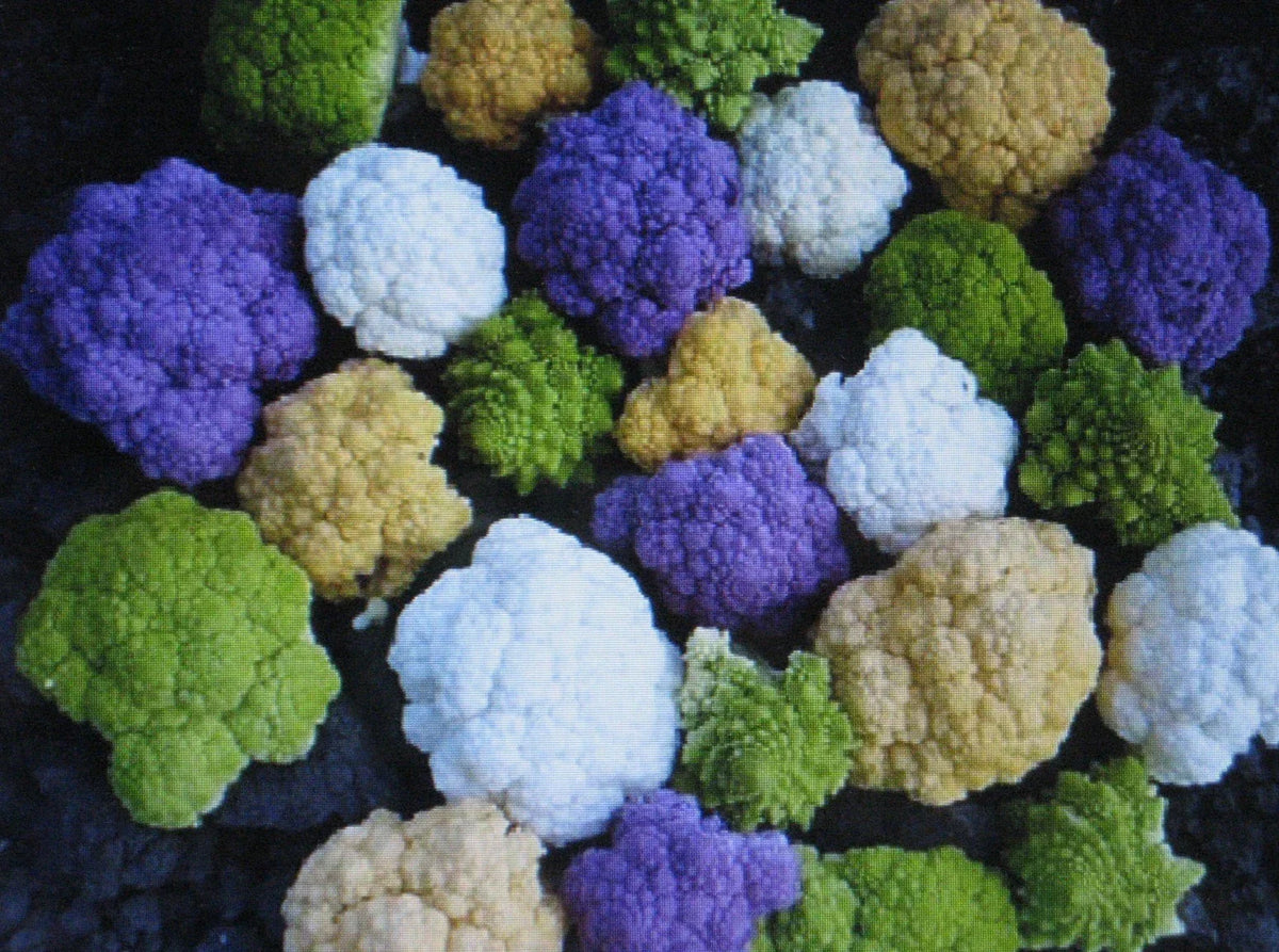 Rainbow Blend Cauliflower & Broccoli Seeds, 150 Seeds, Mixed Colors, Brassica oleracea, Non-GMO Vegetable Garden Variety