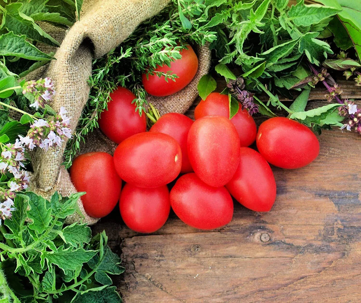 Pink Cherry Tomato Seeds - 40 Count Heirloom Variety - Solanum lycopersicum - Easy to Grow for Garden and Container