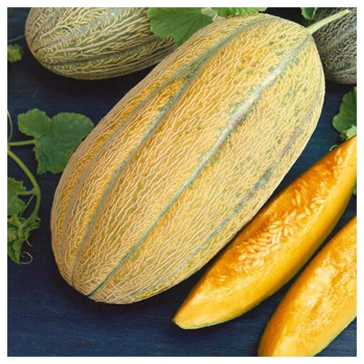 Banana Melon Seeds - Non-GMO Cantaloupe - Cucumis melo - Aromatic Yellow-Orange Fruit - Easy to Grow, High Yield