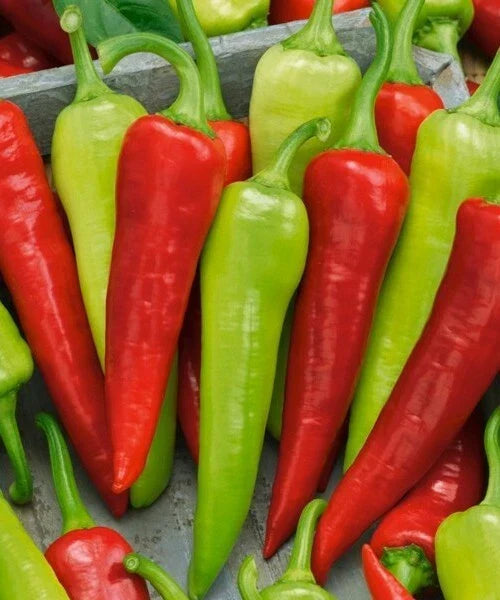 Sweet Banana Pepper Seeds - 50+ Heirloom Non-GMO - Capsicum annuum - Fresh USA Grown for Home Gardens and Container Gardening