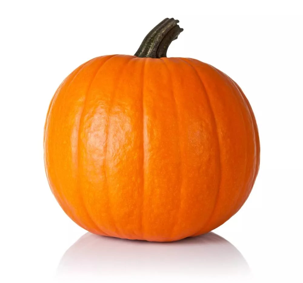 Spartan Pumpkin Seeds (10 Seeds) - Cucurbita pepo - All American Favorite for Planting - Vibrant Orange Pumpkins