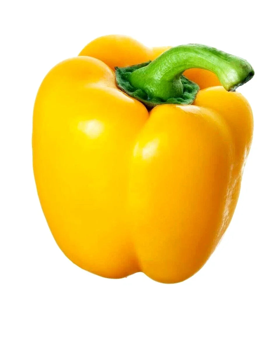 California Wonder Yellow Pepper Seeds - 25 Heirloom Non-GMO Seeds - Capsicum annuum - Perfect for Spring Garden