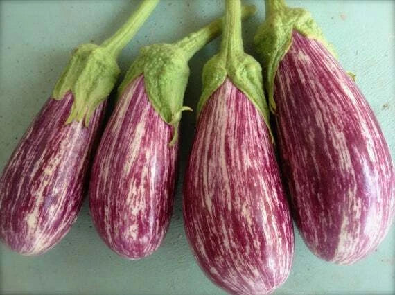 Shooting Star Eggplant Seeds - 25 Non-GMO Vegetable Seeds - Solanum melongena - Unique Purple Star-Shaped Fruit
