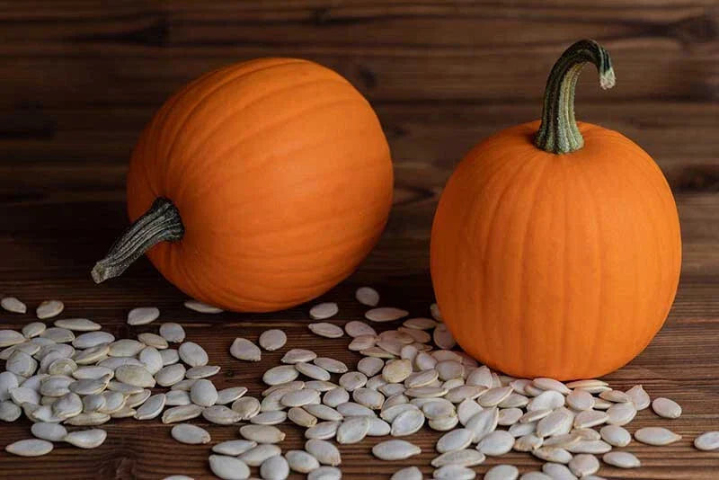 Autumn Gold Pumpkin Seeds - 25+ Pack - Cucurbita pepo - Non-GMO - Ideal for Garden Planting - USA